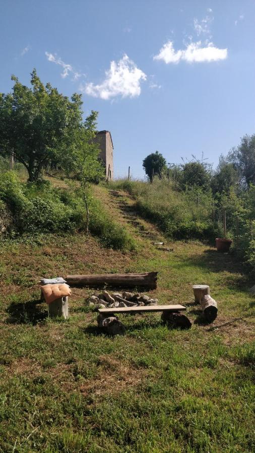 Podere Cerrete - Eco Farmhouse Castel del Piano  Exterior foto